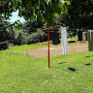 Meet your Posher, The rose